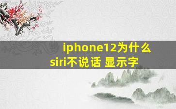 iphone12为什么siri不说话 显示字